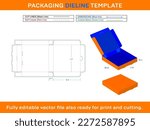Pizza Box, Gift box, Storage Box, Dieline Template