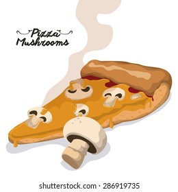 Pizza design over white background, vector illustration.
