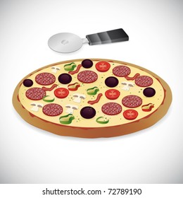 Pizza fast food vector