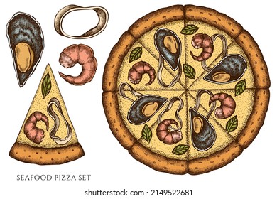 Pizza hand drawn vector illustrations collection. Colored seafood pizza.