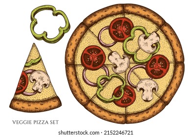 Pizza hand drawn vector illustrations collection. Colored veggie pizza.