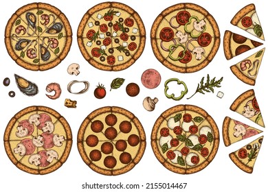 Pizza hand drawn vector illustrations collection. Colored greek, margherita, pepperoni, veggie, ham and mushrooms and seafood pizzas.