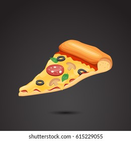 Pizza icon isolated on neutral background. Vector art.