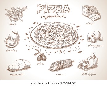 Pizza with ingredients free hand drawing, sketch style