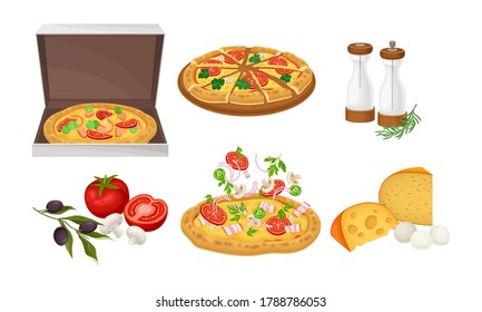 Pizza and Ingredients with Olives and Cheese Slab Vector Set