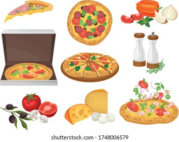 Pizza and Ingredients with Olives and Cheese Vector Set