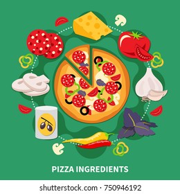 Pizza ingredients round composition with vector images of various pizza filler slices and cooked pepperoni pizza vector illustration
