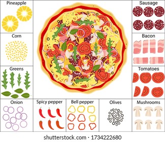 Pizza ingredients. Vector isolated convenience food: sausage, bacon, tomatoes, mushrooms, olives, peppers, onions, greens, corn, pineapples.  Template for creating your own pizza from ingredients.