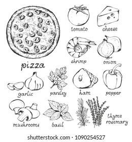 Pizza and ingredients vector set, hand drawn food set isolated on white background: pizza, tomato, cheese, shrimp, onion, garlic, parsley, ham, pepper, champignon, herbs