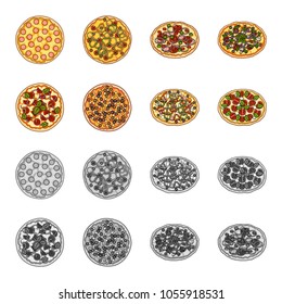 Pizza with meat, cheese and other filling. Different pizza set collection icons in cartoon,monochrome style vector symbol stock illustration web.