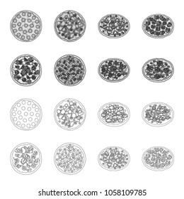 Pizza with meat, cheese and other filling. Different pizza set collection icons in outline,monochrome style vector symbol stock illustration web.