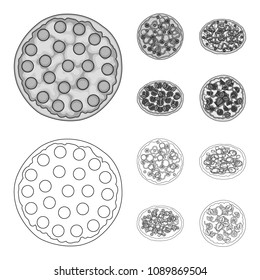 Pizza with meat, cheese and other filling. Different pizza set collection icons in outline,monochrome style vector symbol stock illustration web.