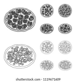Pizza with meat, cheese and other filling. Different pizza set collection icons in outline,monochrome style vector symbol stock illustration web.