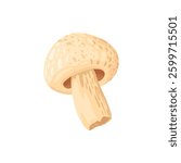 Pizza mushroom ingredient isolated on white. Vector cartoon illustration of dough base, tomato, pepper, mushroom pieces, slices of ham and salami, ketchup sauce, olive oil, rosemary, italian fast food
