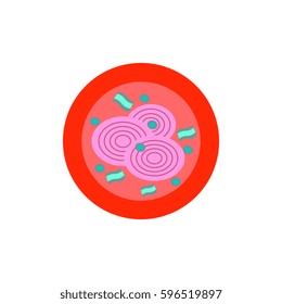 Pizza with onion.Vector illustration. simple pizza icon top view