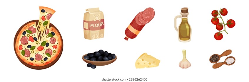 Pizza Product and Ingredients for Culinary Vector Set