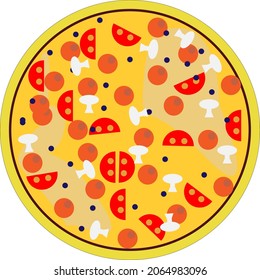pizza with salami and mushrooms and on a white plate