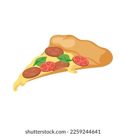 pizza slice illustration over white