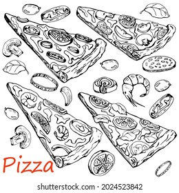 Pizza. Slices of different types of fast food. Stock vector illustration. Sketch of an Italian flour product. Hand drawing.Isolated on a white background. For packaging and labeling pizza. Menu design