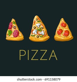 Pizza slices. Hand drawn vector illustration