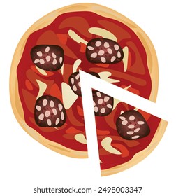 Pizza slices on white background, vector