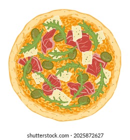 Pizza topped with cheese, prosciutto, arugula and green olive. Vector illustration of hand drawn pizza. 