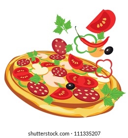 pizza, vector illustration