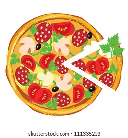 pizza, vector illustration