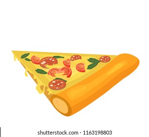 pizza, vector illustration