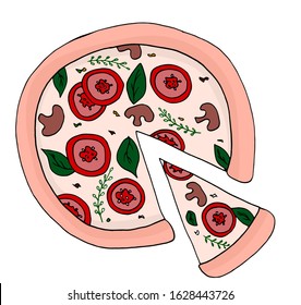 Pizza vector illustration, hand drawn pizza illustration, pizza vector poster, italian pizza. Isolated on a white background.