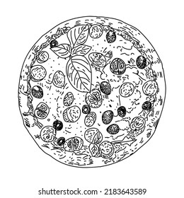 Pizza. vector illustration. Sketch style. top view. Design template. Engraved style illustration. Great for menu, poster or label. Vector.