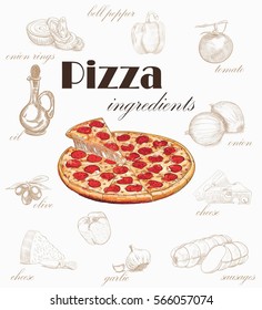 pizza vector set with ingredients