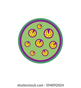 Pizza.Vector illustration. simple pizza icon top view