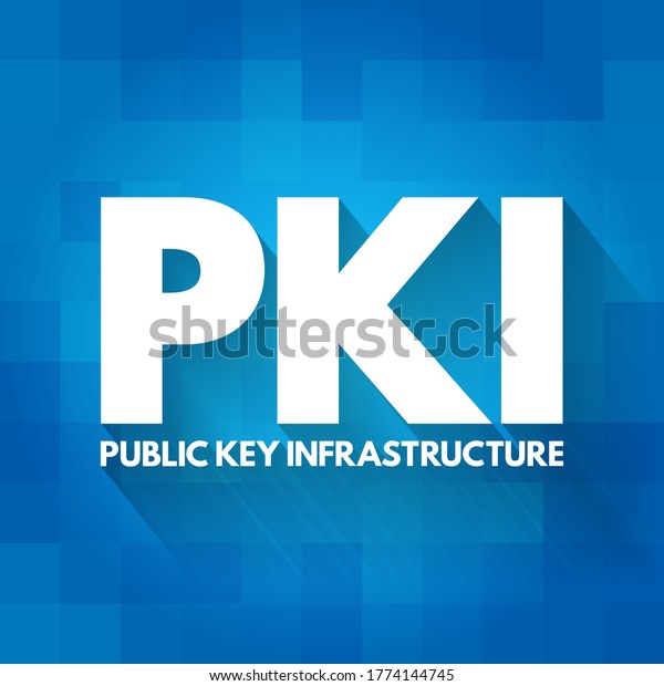 Pki Public Key Infrastructure Acronym Technology Stock Vector (Royalty ...