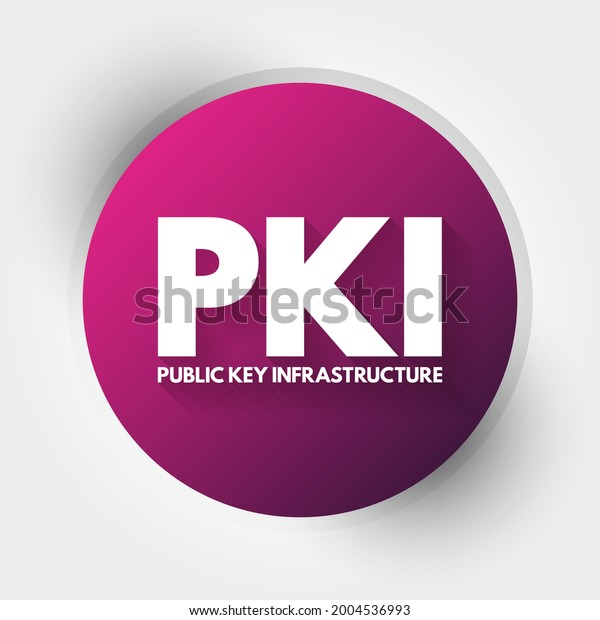 Pki Public Key Infrastructure Acronym Technology Stock Vector (Royalty ...