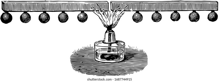 Place a bar of iron and a similar one of copper end to end so as to be heated equally by the flame of a lamp, vintage line drawing or engraving illustration.