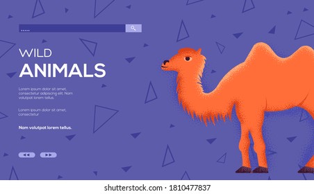 Place for text, place for copying. Camel concept flyer, web banner, ui header, enter site. Layout illustration modern slider page. Grain texture and noise effect.