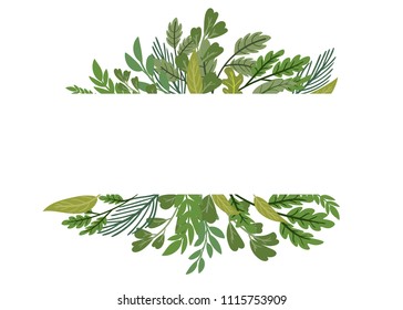 Place for text, strip of forest grass, leaves on white background