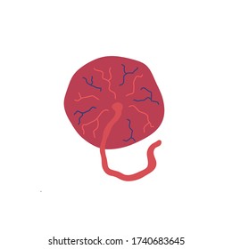 placenta doodle icon, vector illustration