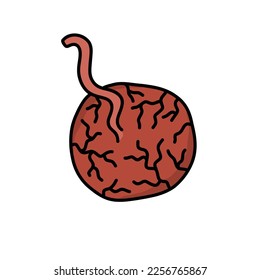 Plazenta-Doodle-Symbol, Vektorgrafik