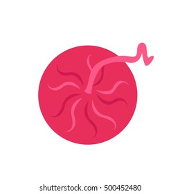icono de placenta. ilustración vectorial
