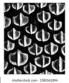 Placoid Scales of a Shark which are found in cartilaginous fishes, vintage line drawing or engraving illustration.