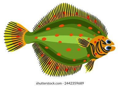 Plaice. Vector bright isolated illustration.