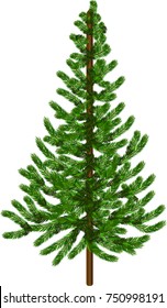 Plain Christmas Tree