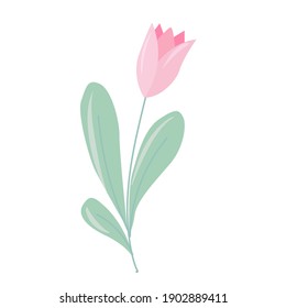 Plain flower or Plant. Decor element in pastel colors. vector illustration drawn in cartoon style isolated on white background