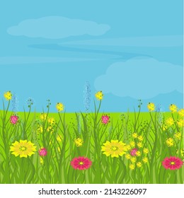 Eine Ebene mit grünem Gras und Blumen. Weide. Heller, bunter Vektorhintergrund. Banner, Vorlage.