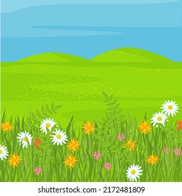 Una llanura con hierba verde y flores. Prado. Luminoso, fondo vectorial. Cartel, plantilla.