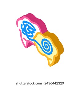 plain language technical writer isometric icon vector. plain language technical writer sign. isolated symbol illustration