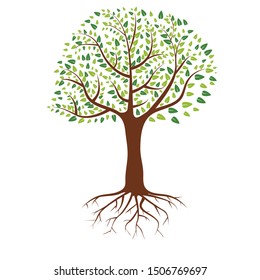 Plain Tree with green leaves and roots with flat and solid colors for your design. Vector illustration.