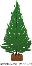 Nur einfarbiger, nicht dekorierter Weihnachtsbaum